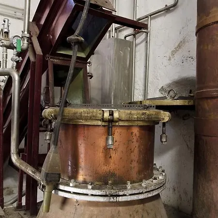 B&B Distilleria Gualco 실바노 도르바